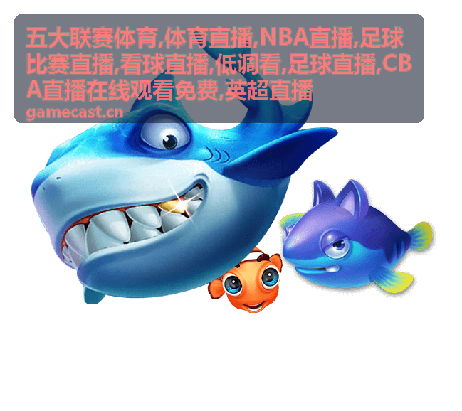 英超直播夜场看台与草坪，五大联赛体育足球比赛直播